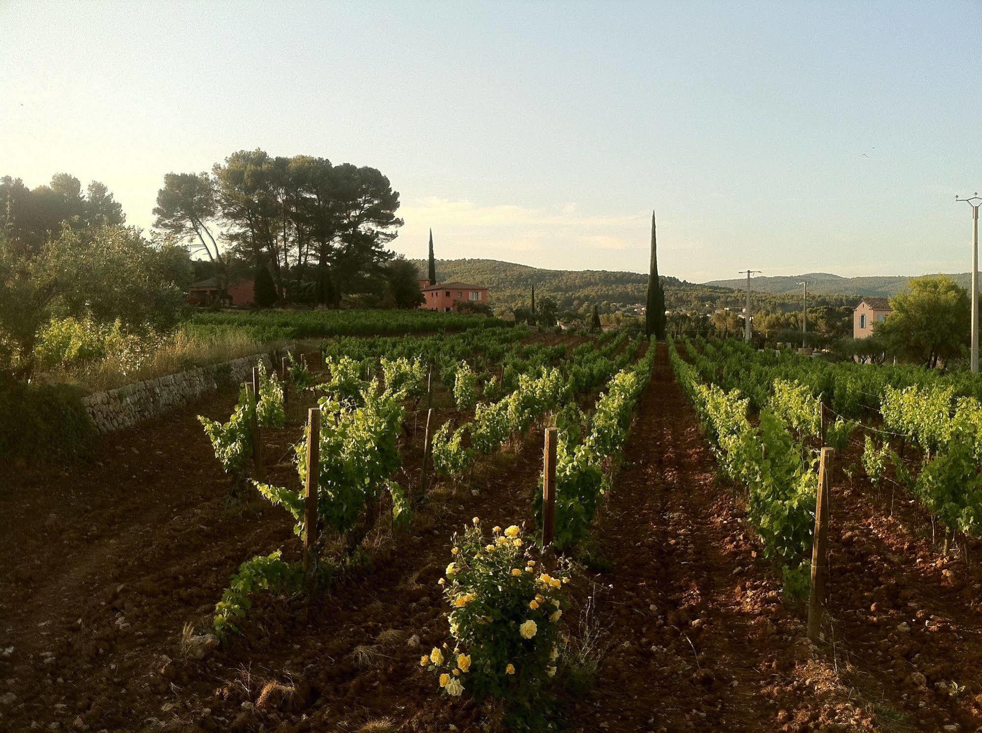 Domaine Rabiega Hotel Flayosc Esterno foto
