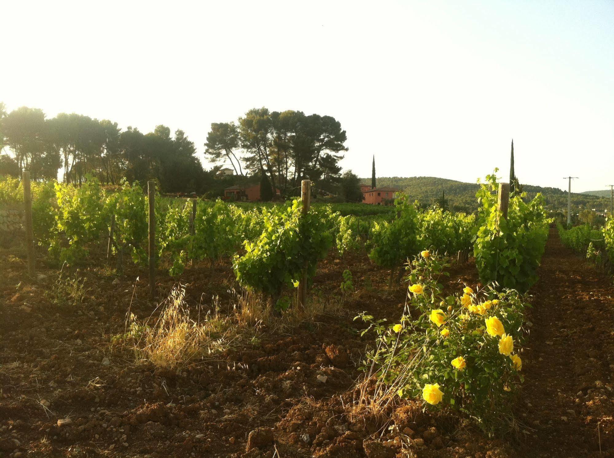 Domaine Rabiega Hotel Flayosc Esterno foto